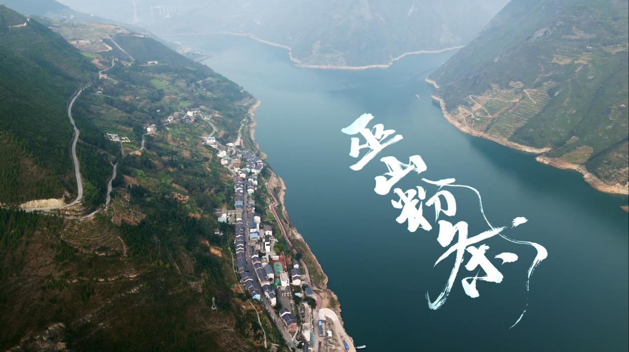 https://img2.danews.cc/upload/images/20250605/69a0ad3c3b5e4cf63aa1e67d0821550b.png