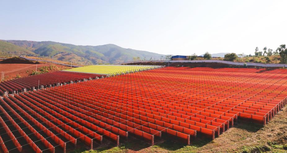 LC8A0421_副本_副本