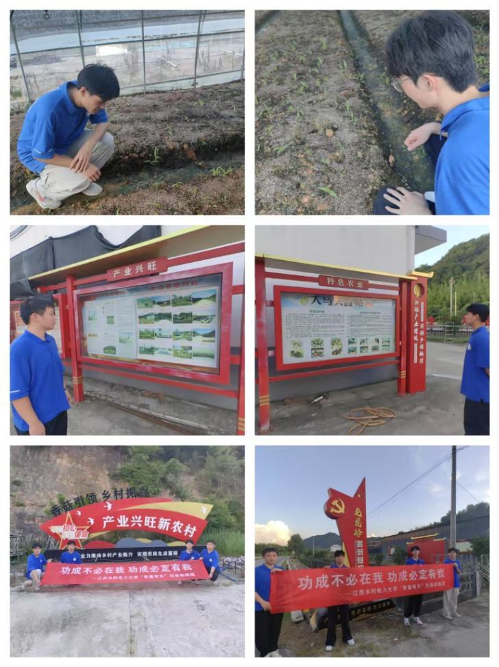 调研龙虎岭香菇基地