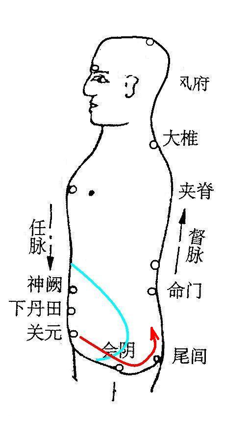 复件 (3) 1 会阴0