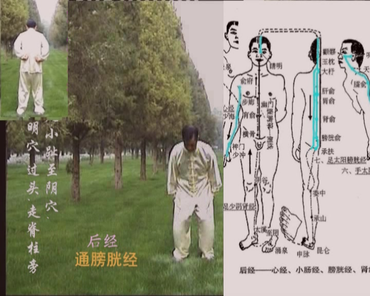 膀