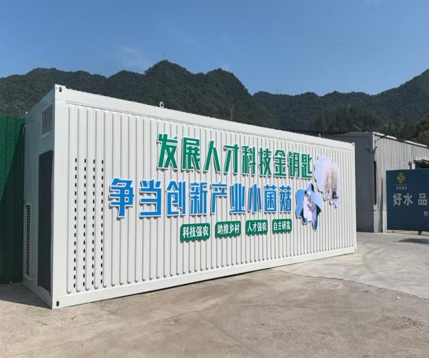 https://img2.danews.cc/upload/images/20250731/144603f9b23e76e2aa23cad25c111460.png