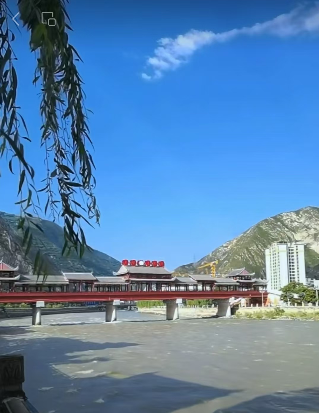 https://img2.danews.cc/upload/images/20250811/005766b66b2603b0347e396d555b45a4.jpg