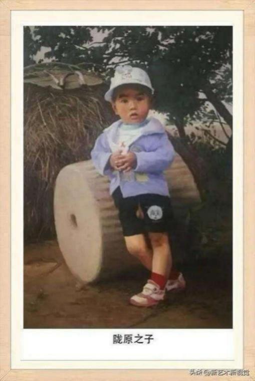 2025޶ղͶư񡪡