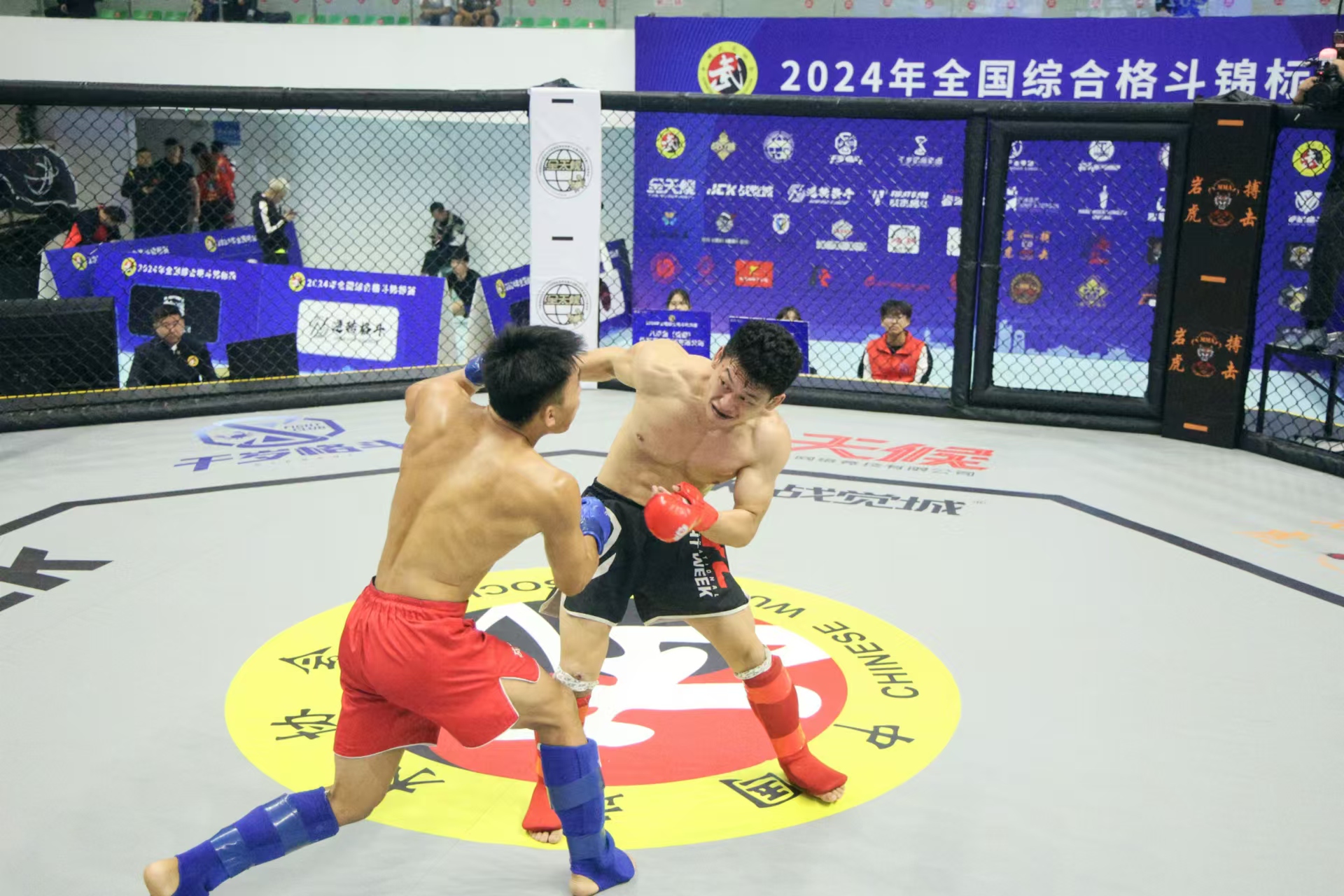https://img2.danews.cc/upload/images/20250820/a8702e531aa25f8183af221a043aa4af.jpg
