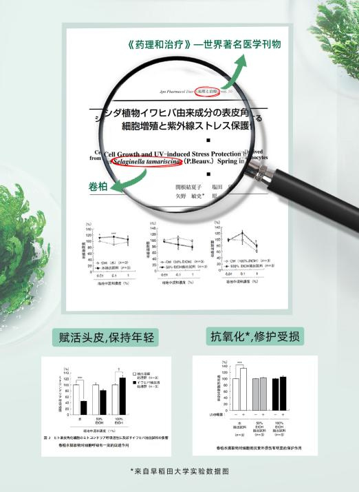 https://img2.danews.cc/upload/images/20250822/79a150d4d9af2bba74825413cc831142.png