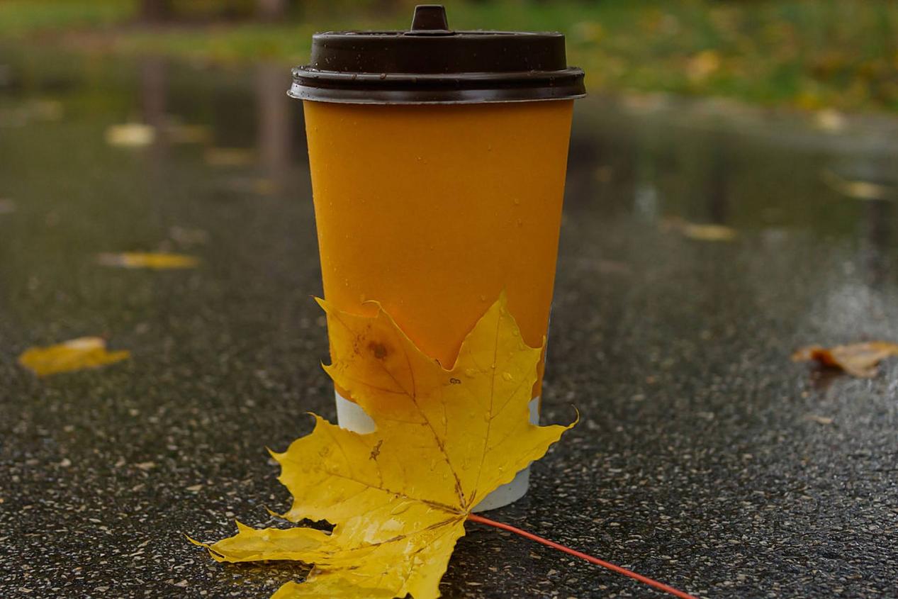 秋季养生以护肝为重,LAIFE「乐轻肝」双靶点协同护肝成效更显卓越 秋季养生以护肝为重,LAIFE「乐轻肝」双靶点协同护肝成效更显卓越