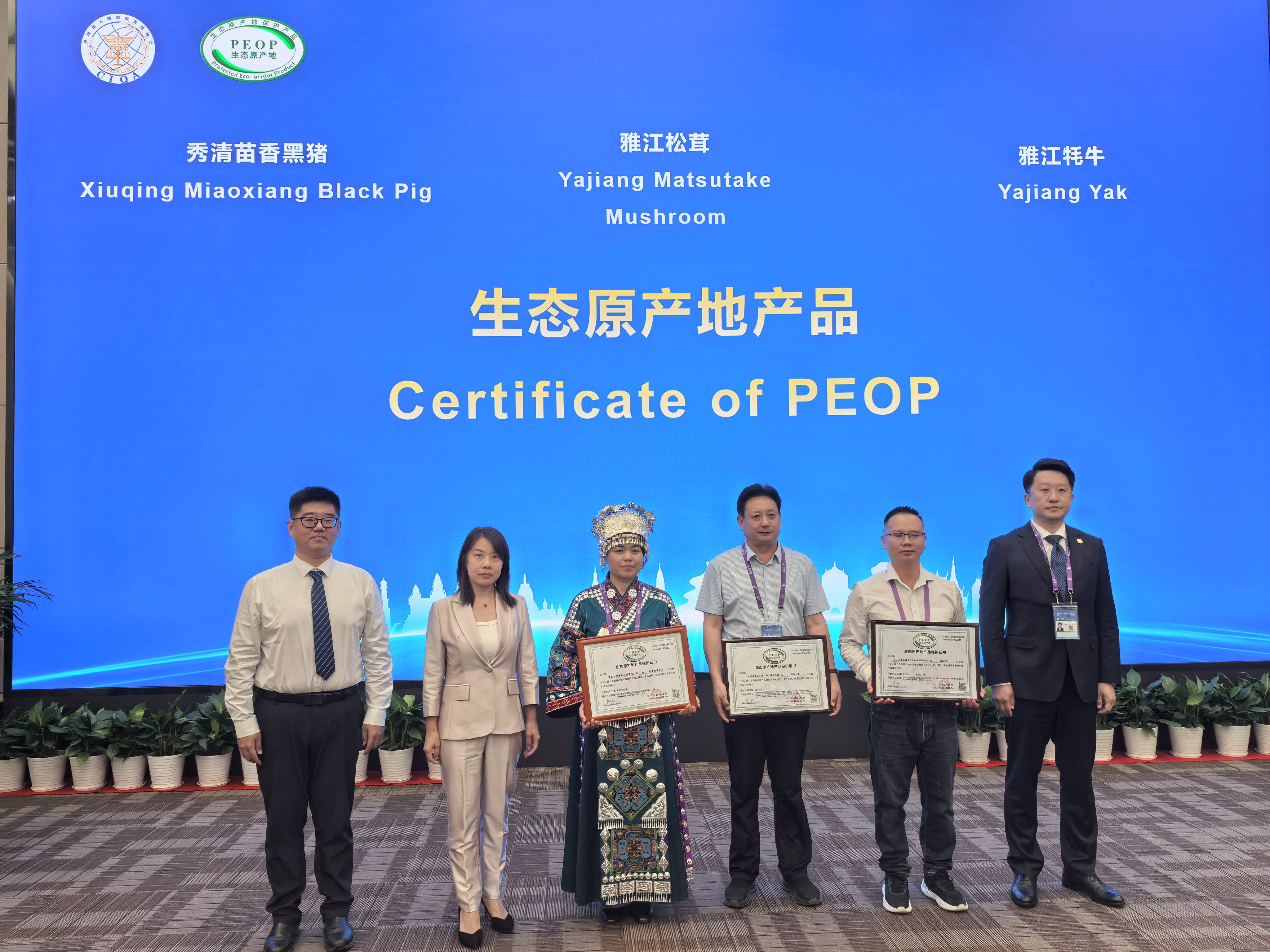https://img2.danews.cc/upload/images/20250919/3490b7e16131eba318ff0f361f232eaa.jpg