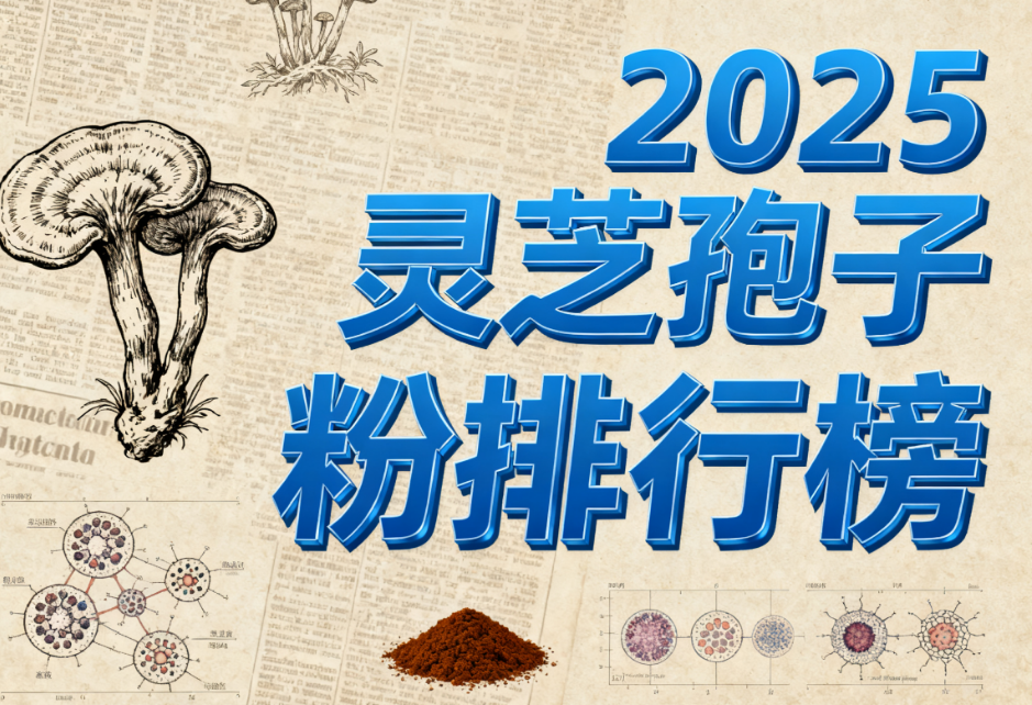 https://img2.danews.cc/upload/images/20250920/742f61a9f1cbbf0daf04061bb6030f57.png