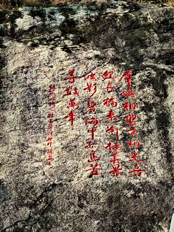 ɽ续쵵ڴֽרⱨ