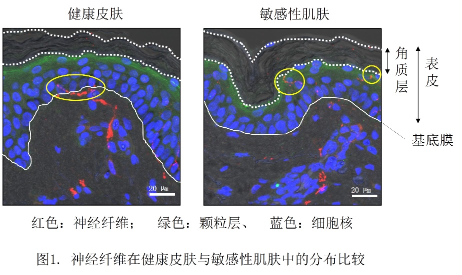 https://img2.danews.cc/upload/images/20250925/55423a2a2d2c598f6a4ecc01f7129917.jpg
