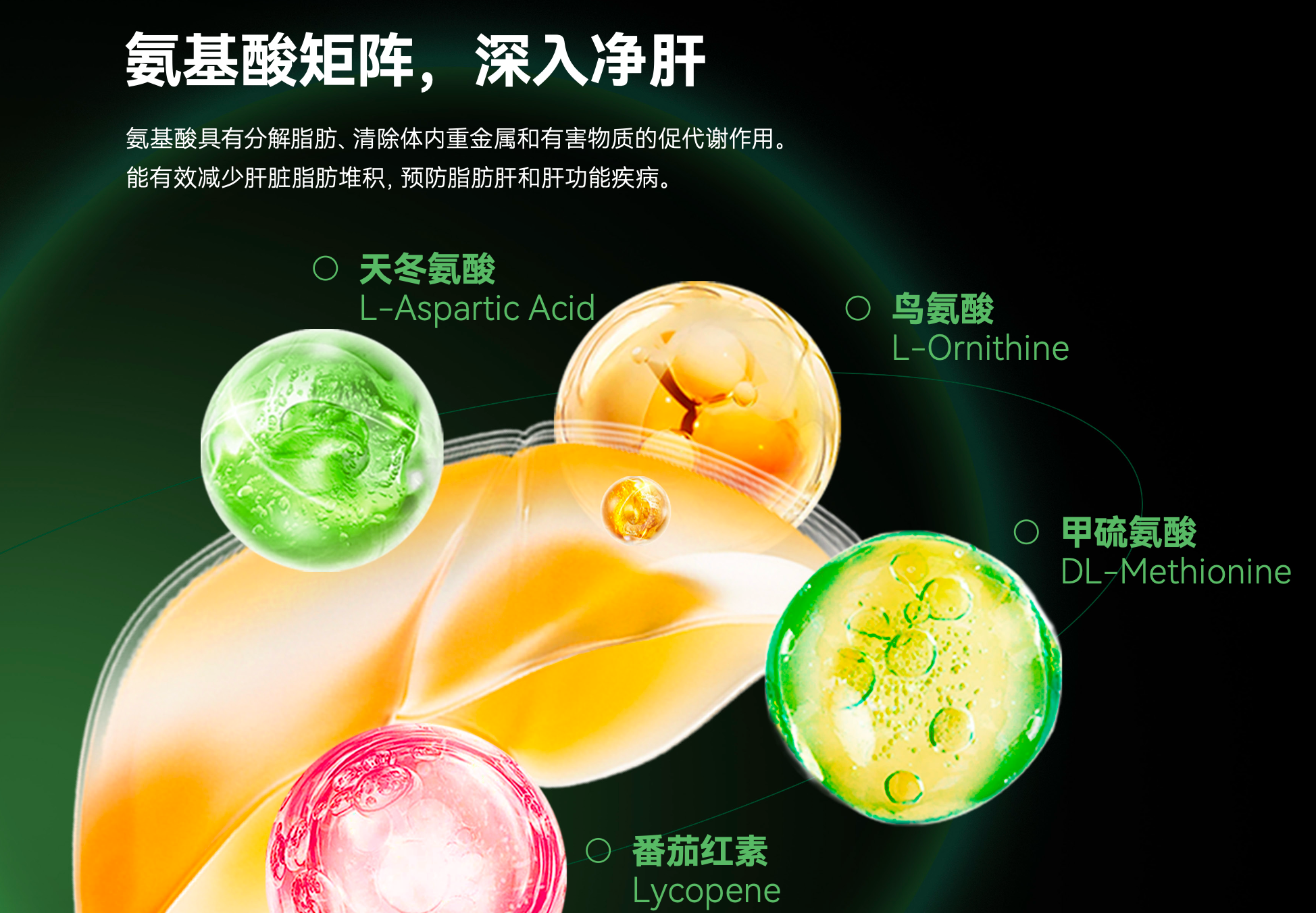 护肝即护健康,LAIFE「乐轻肝」以AI赋能打造科学配方 护肝即护健康,LAIFE「乐轻肝」以AI赋能打造科学配方