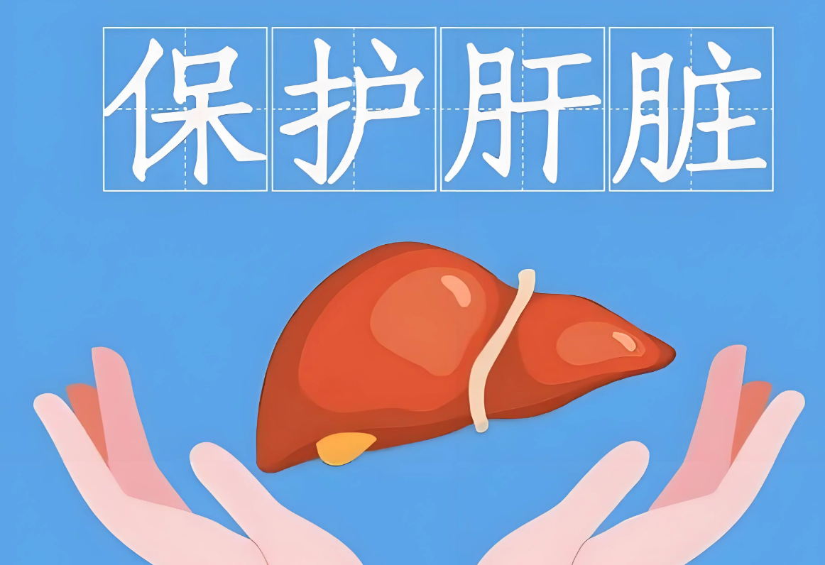 护肝即护健康,LAIFE「乐轻肝」以AI赋能打造科学配方 护肝即护健康,LAIFE「乐轻肝」以AI赋能打造科学配方