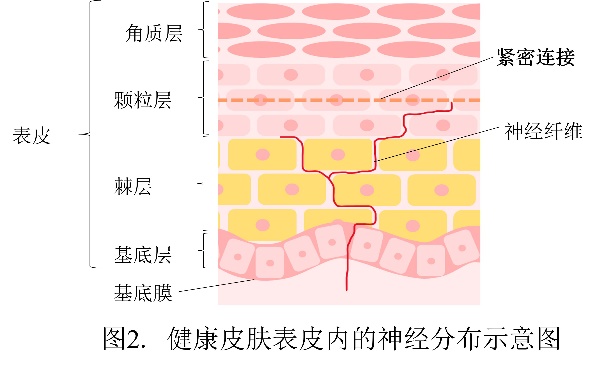 https://img2.danews.cc/upload/images/20250925/dcd3c192c07c5ecaf4157c6249e0c2f7.jpg