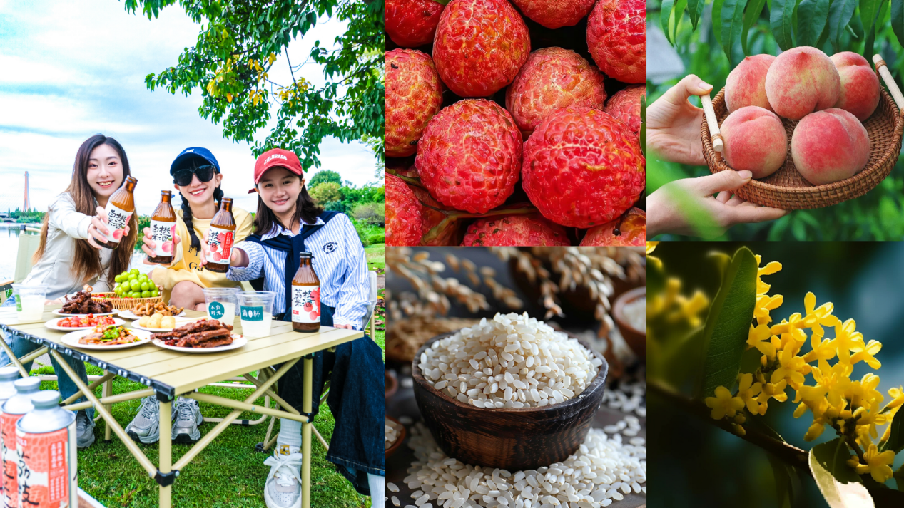 公关稿拼图7_画板 1