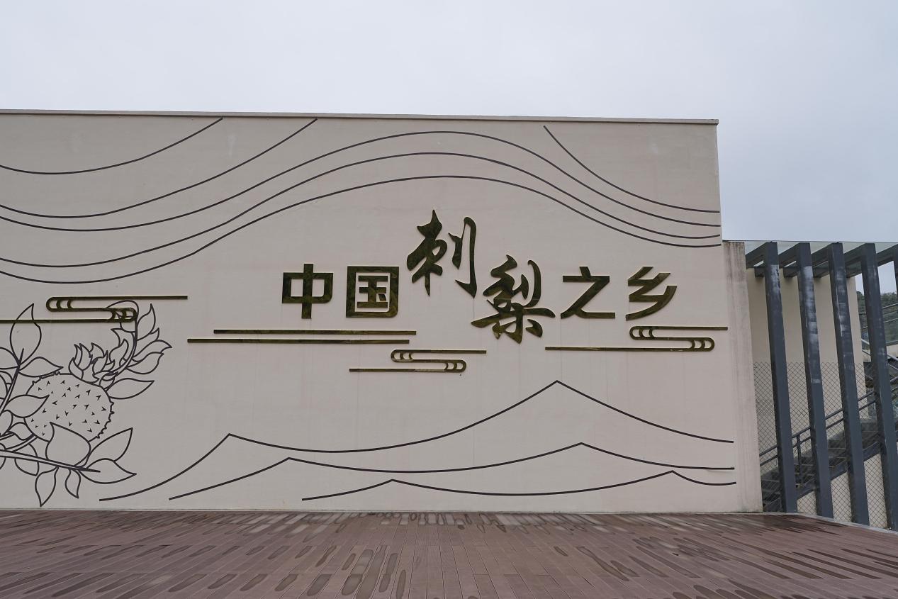 8c7a22515b4a62e44e599a3dd7af0a6