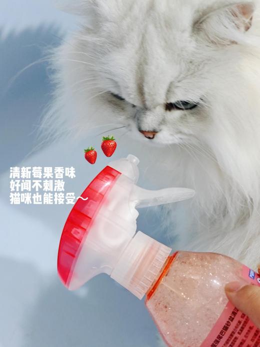 99f06b77b84d79cc8ef0dc5d079068b8