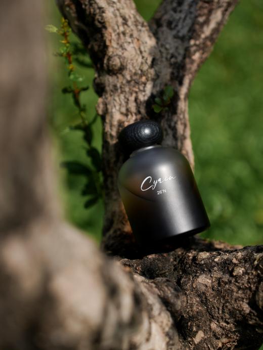 6f426228f1d69510407289595c85ae2