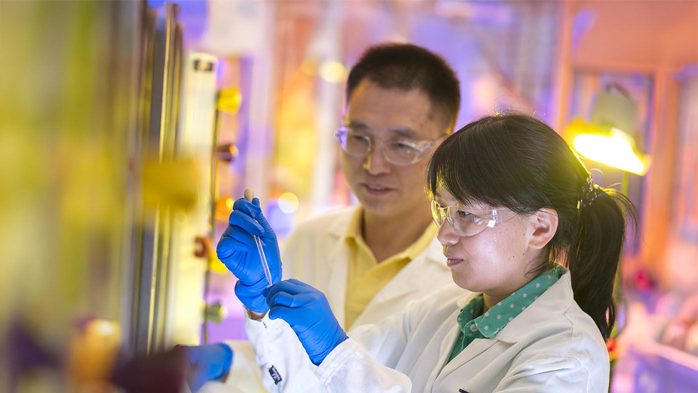 A person and person in white coats and blue gloves

AI-generated content may be incorrect.