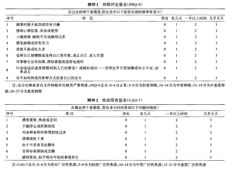 中国糖尿病足防治指南(2019版)(V)