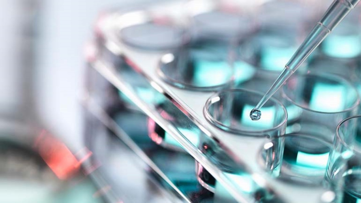 A close-up of a pipette

AI-generated content may be incorrect.