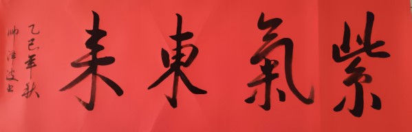 《国际聚焦》声名远扬艺术家帅泽波