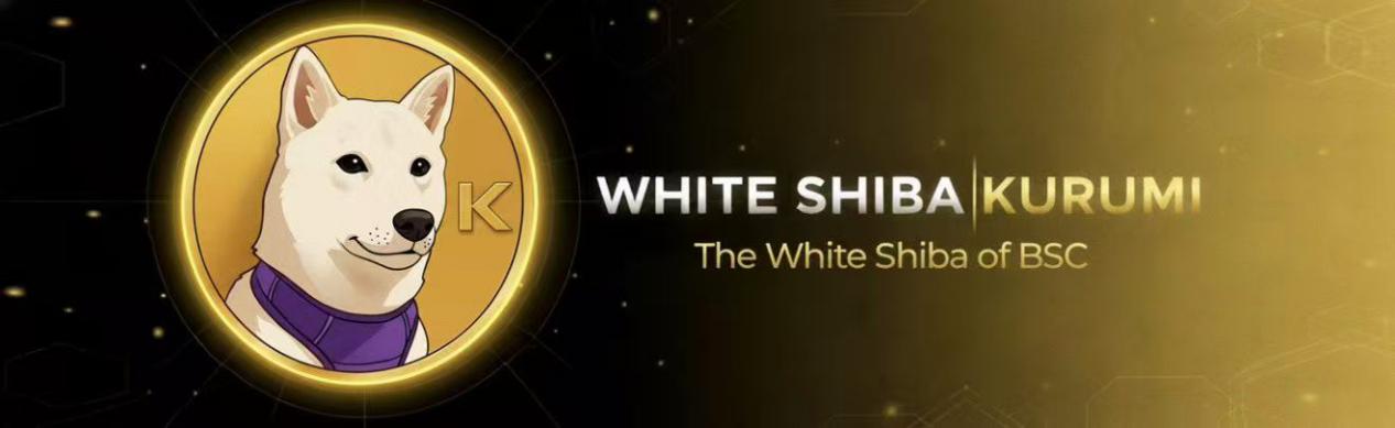 9f21a3210971f5e78caf4387e15e4f8