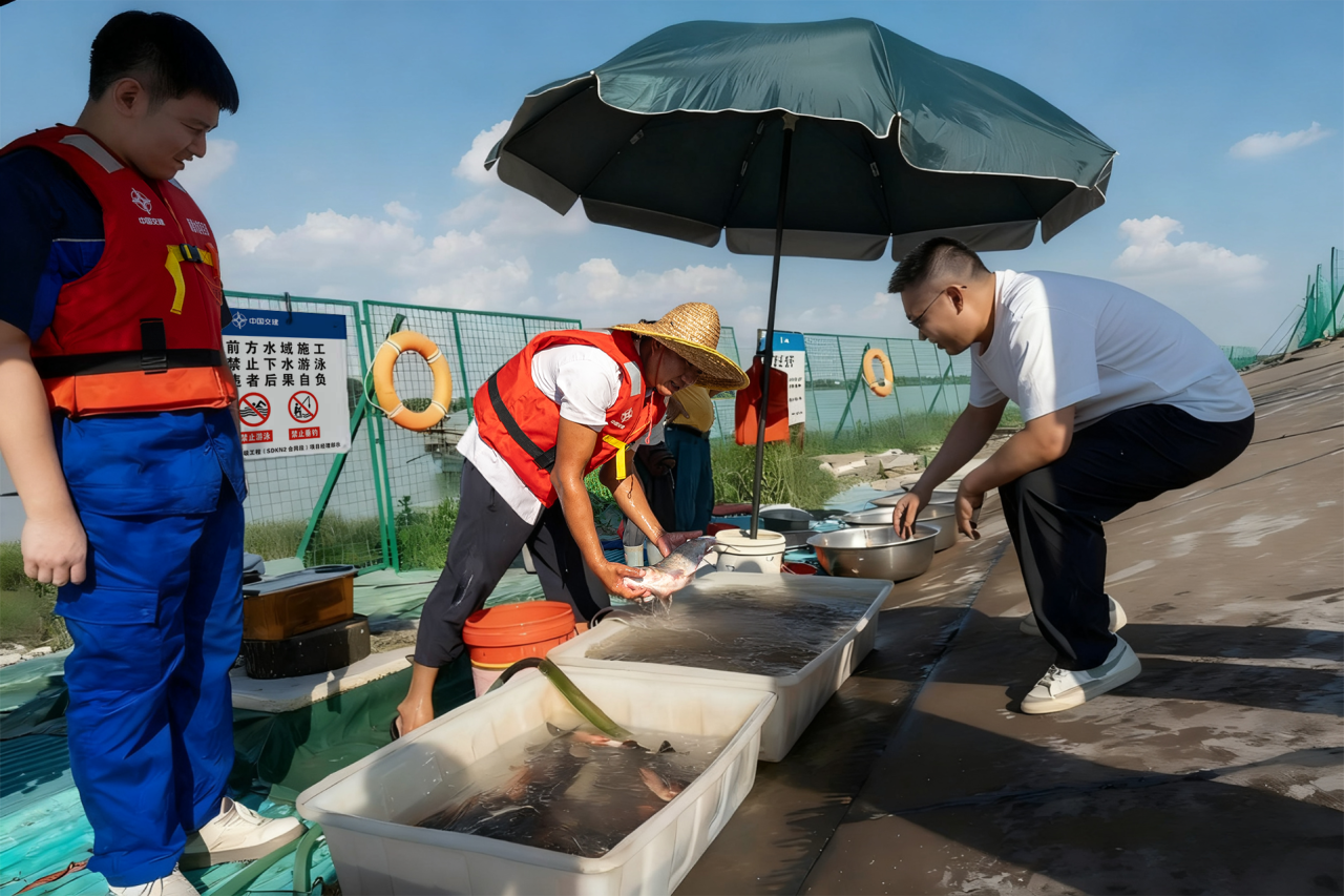 D:\Backup\Documents\Tencent Files\1050521763\nt_qq\nt_data\Pic\2025-11\Thumb\ba54c1e79a946e5de00f65824b4aa79a_720.png