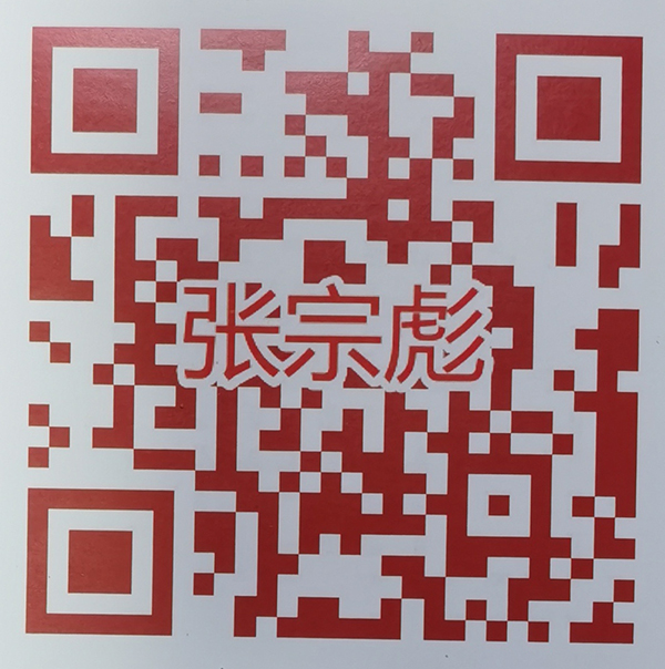 《2026两会重点推荐艺术家》张宗彪专题报道
