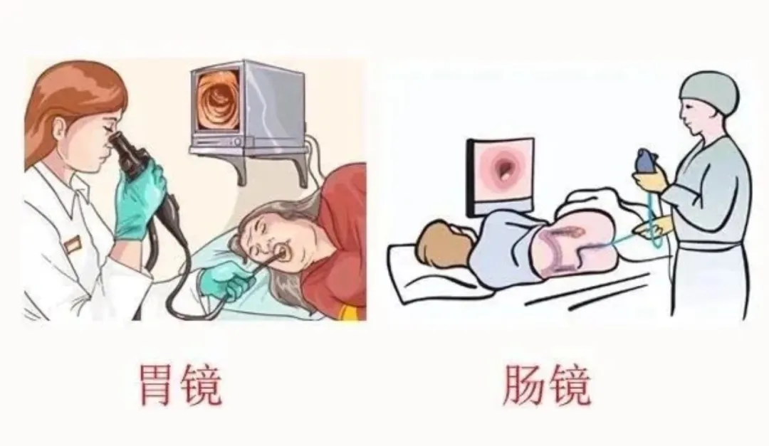 https://img2.danews.cc/upload/images/20251125/f74465a1384e2a6b05ddeb8300605dd3.png
