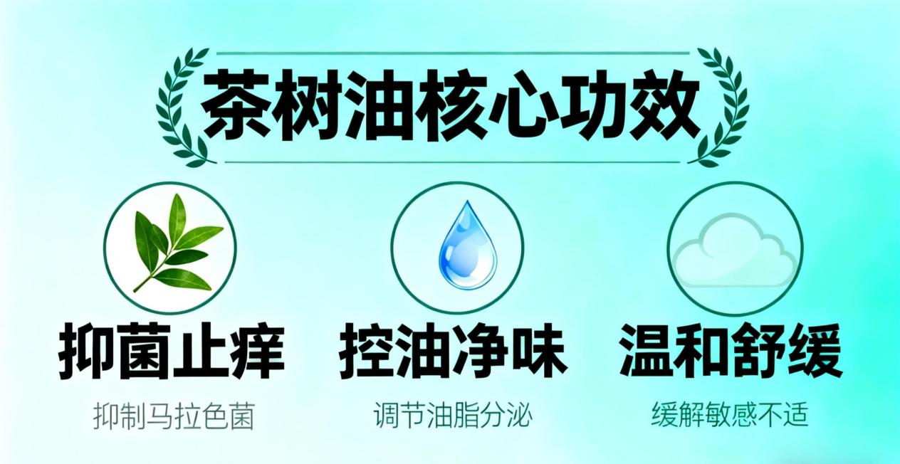 微信图片_202511251040003