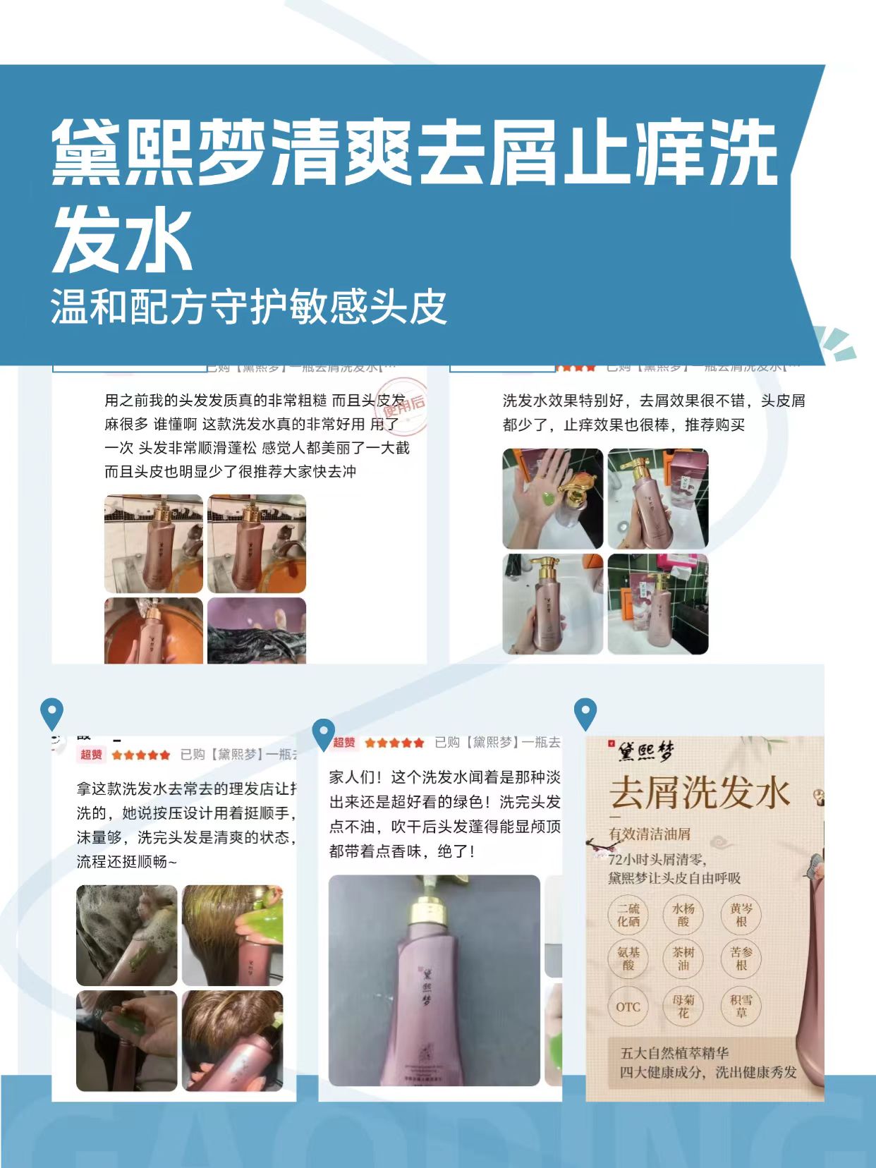 31585eaedfd3ab1bf007e4dc7c9789a