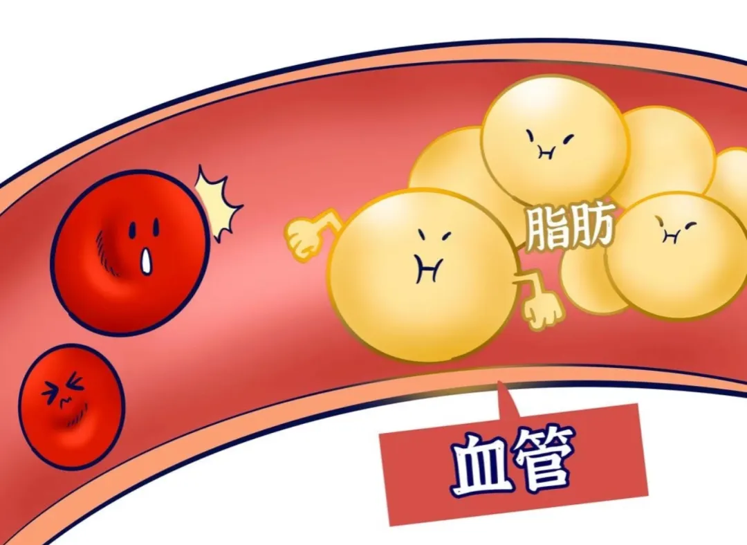 https://img2.danews.cc/upload/images/20251203/d15efdf801dac6ca2c806208777c7687.png https://img2.danews.cc/upload/images/20251203/d15efdf801dac6ca2c806208777c7687.png