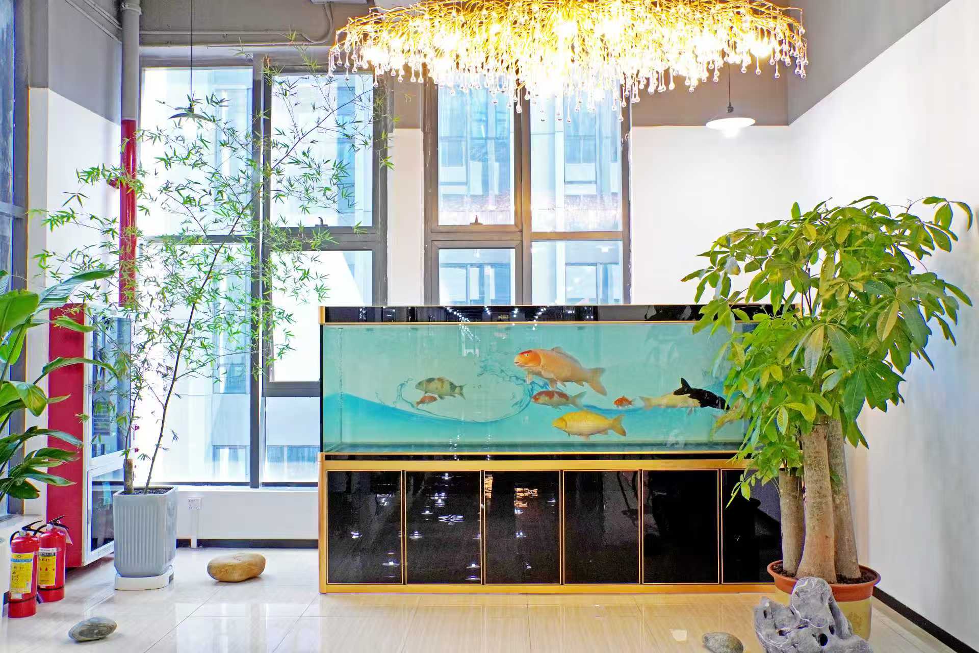 7d8e001cc6b184aa276a8316c2eaf502