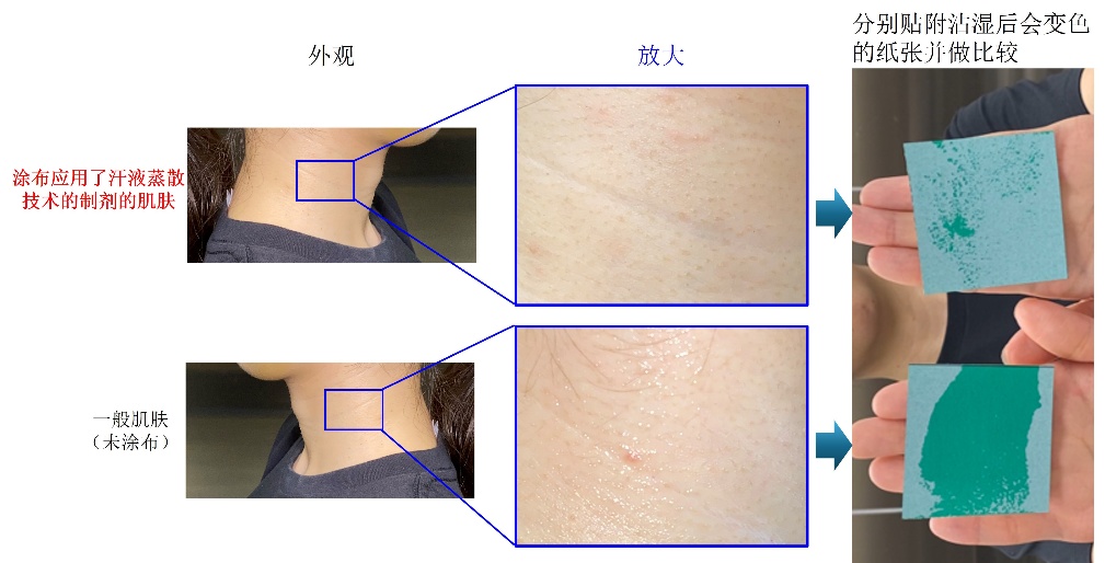花王开发汗液蒸散技术：暑热中保持肌肤干爽，且不影响排汗功能