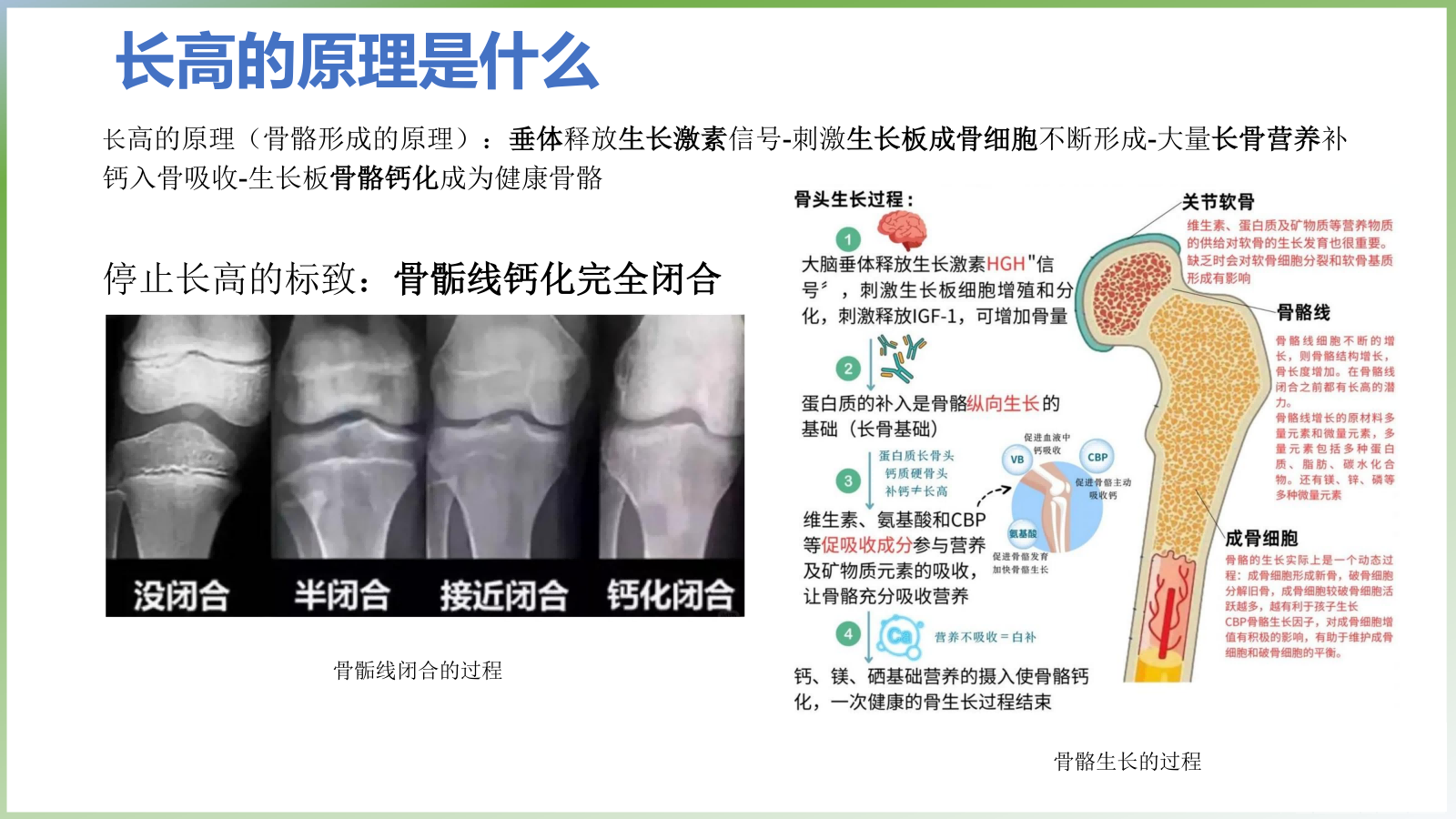 《儿童成长是场马拉松，选对高活性赖氨酸，赋能长期长高》