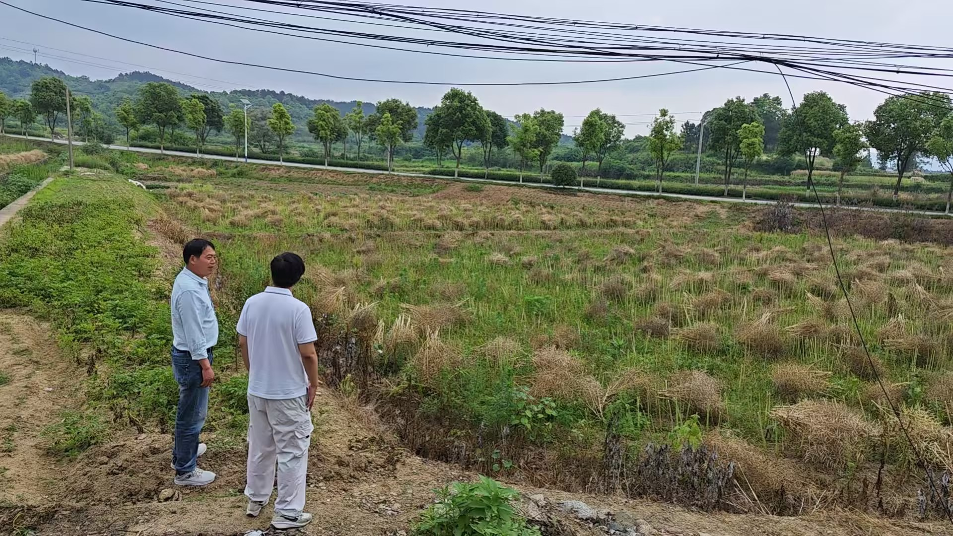 闻汛而动筑防线 倾情帮扶护民安