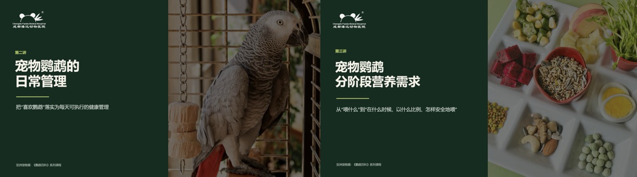 成都潘达动物医院亮相2026亚洲宠物展，系统分享伴侣鸟全周期健康管理理念