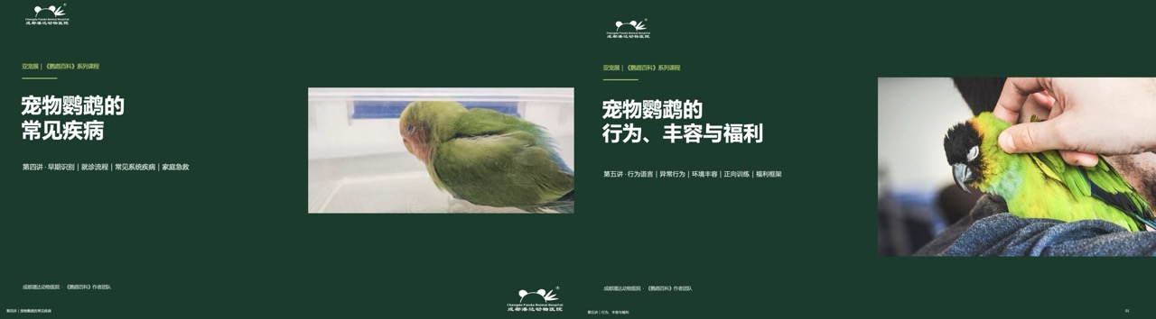 成都潘达动物医院亮相2026亚洲宠物展，系统分享伴侣鸟全周期健康管理理念