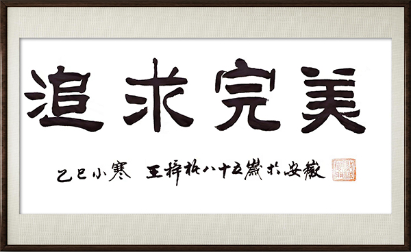 《国家精英》让影响力的人物载入史册:王梓梧