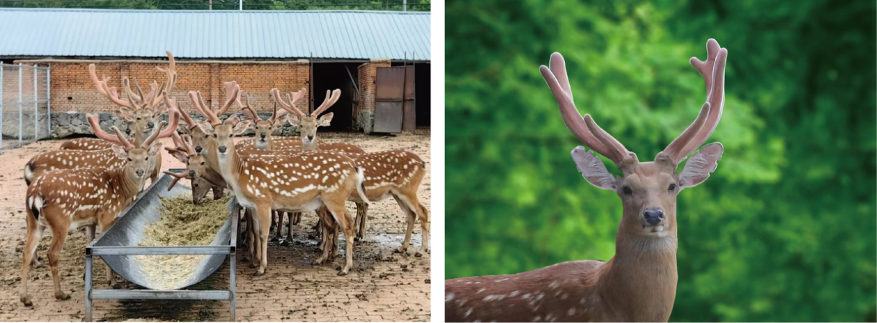 f65f1553fa53f764d6a2031b2608f00a