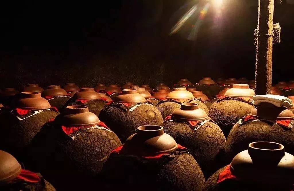 秦岭古窖:四代匠心守一盏“鑫泉香”