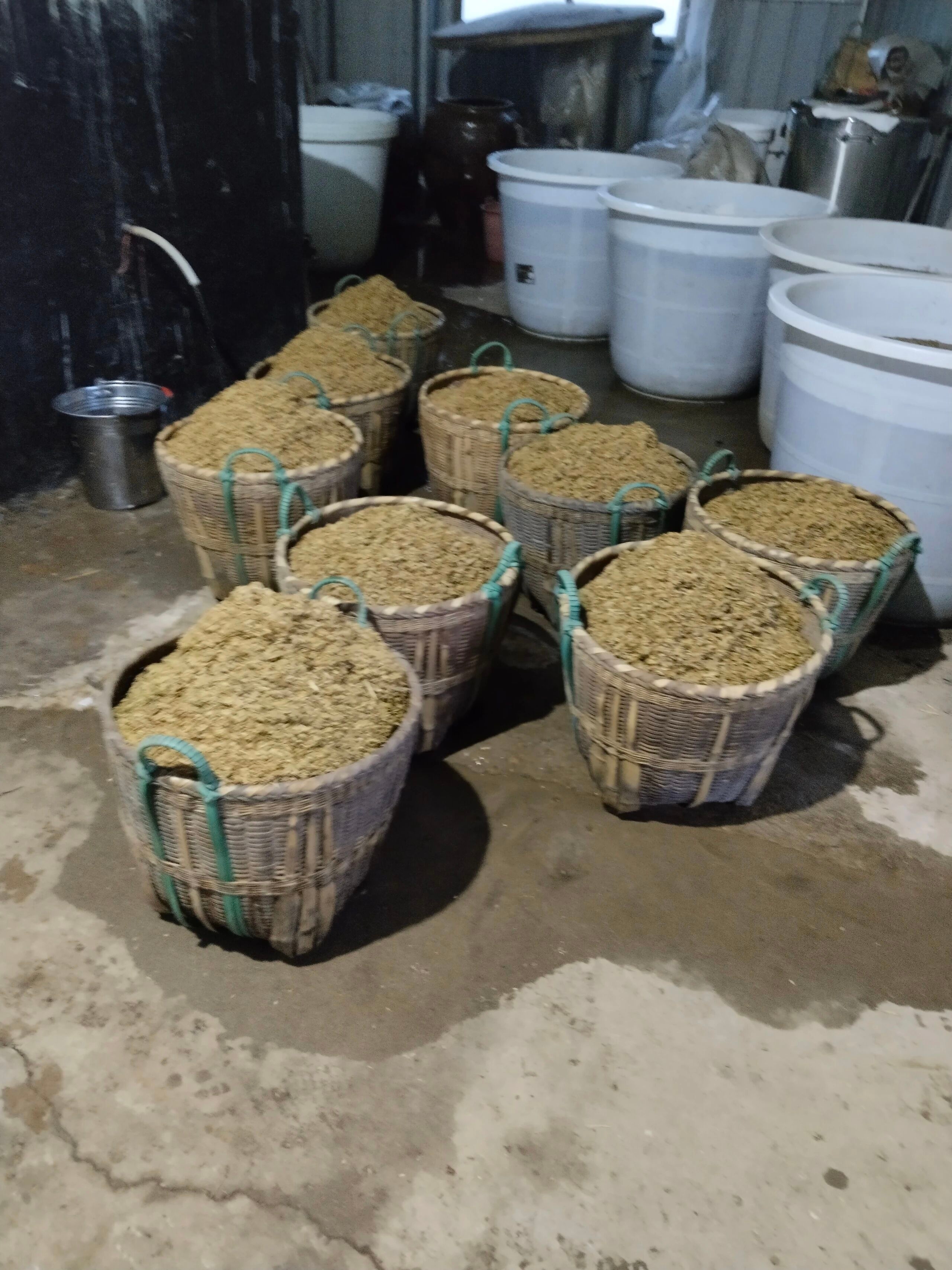 秦岭古窖:四代匠心守一盏“鑫泉香”