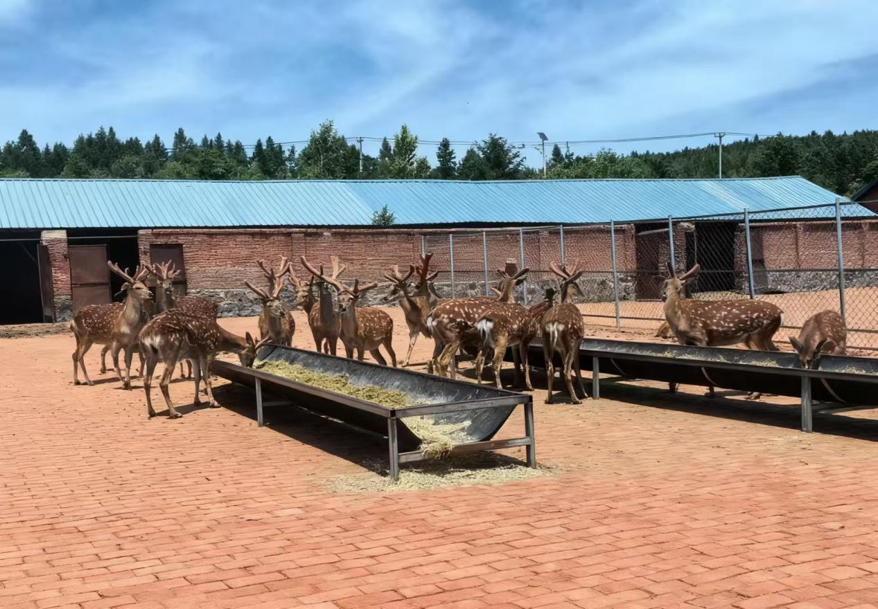 微信图片_20250928141734_446_2354