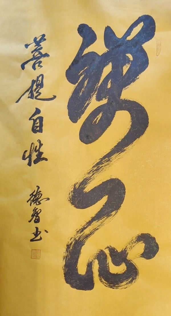 《开局十五五奋斗正当时》高端时代先锋人物德智老师