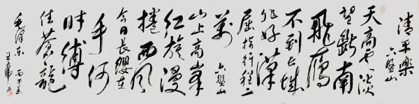 《开局十五五奋斗正当时》书法代表人物·王良虎