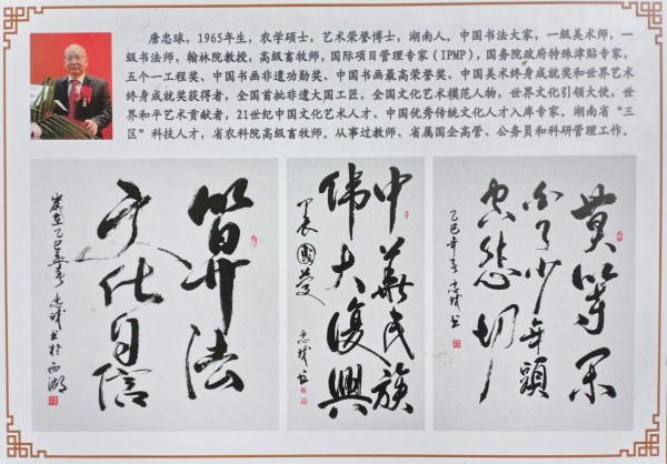 ������֮��չ��ɡ���������������������