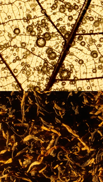 图片包含 游戏机
AI 生成的内容可能不正确。