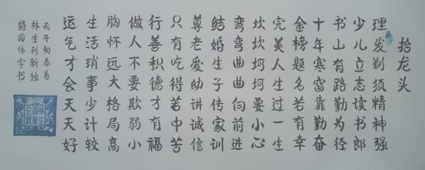 《开局之年展风采》圆体书法名家易林生——特别报道