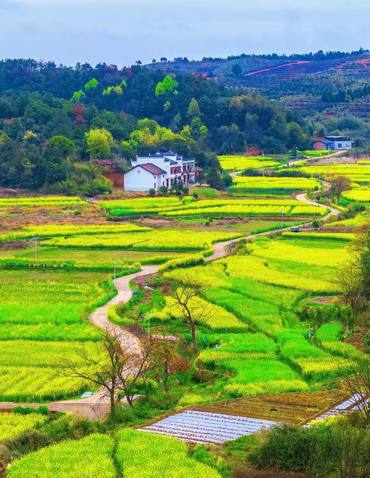 63ebce742dace92d7e579a66c5234cf